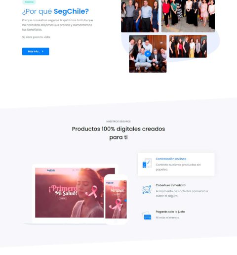 Web Institucional SegChile