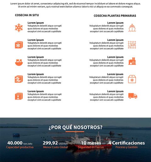 Web Maritimo